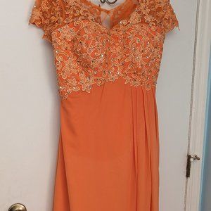 Beautiful All Occasion Gown
